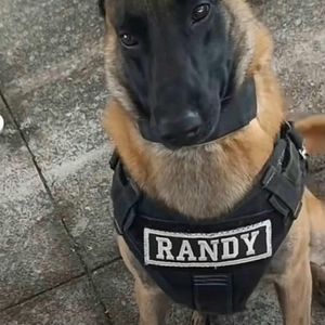 Meet your Posher, Juan